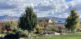 1166 Toscano Road - Photo 33