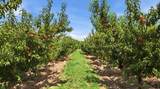 3280 B 1/2 Road - Photo 34