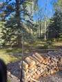 1255 Spruce Road - Photo 7