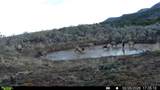 11799 Highway 13 - Photo 19