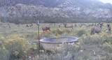 11799 Highway 13 - Photo 41