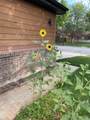 2411 Wintergreen Drive - Photo 39