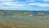 50208 Coon Creek Road - Photo 6