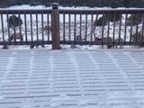 50208 Coon Creek Road - Photo 8