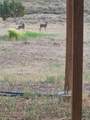 50208 Coon Creek Road - Photo 9