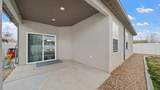 3031 Red Pear Drive - Photo 20