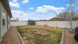 3031 Red Pear Drive - Photo 22