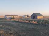 31531 County Road 42 - Photo 35