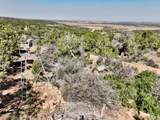 4875 Miller Canyon Road - Photo 10