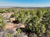 4875 Miller Canyon Road - Photo 11