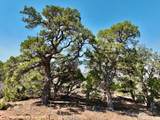 4875 Miller Canyon Road - Photo 24