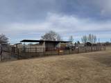 910 22 1/2 Road - Photo 32