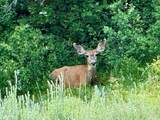 3465 Tbd - Photo 24