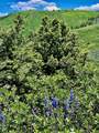 3465 Tbd - Photo 30