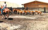 11694 Trap Club Road - Photo 39