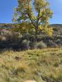 11694 Trap Club Road - Photo 42