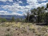 TBD Pine Drive - Photo 11