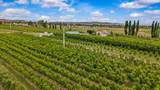 20813 Nowhere Road - Photo 36