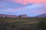 847 26 Road - Photo 41