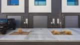 600 Lawrence Avenue - Photo 3