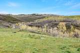 TBD County Road 80 - Photo 38