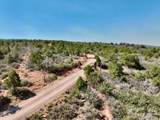 4875 Miller Canyon Road - Photo 5