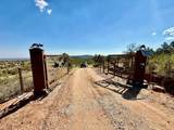 4875 Miller Canyon Road - Photo 6