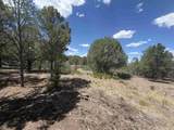 TBD Pine Drive - Photo 10