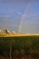 847 26 Road - Photo 39