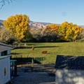 847 26 Road - Photo 35