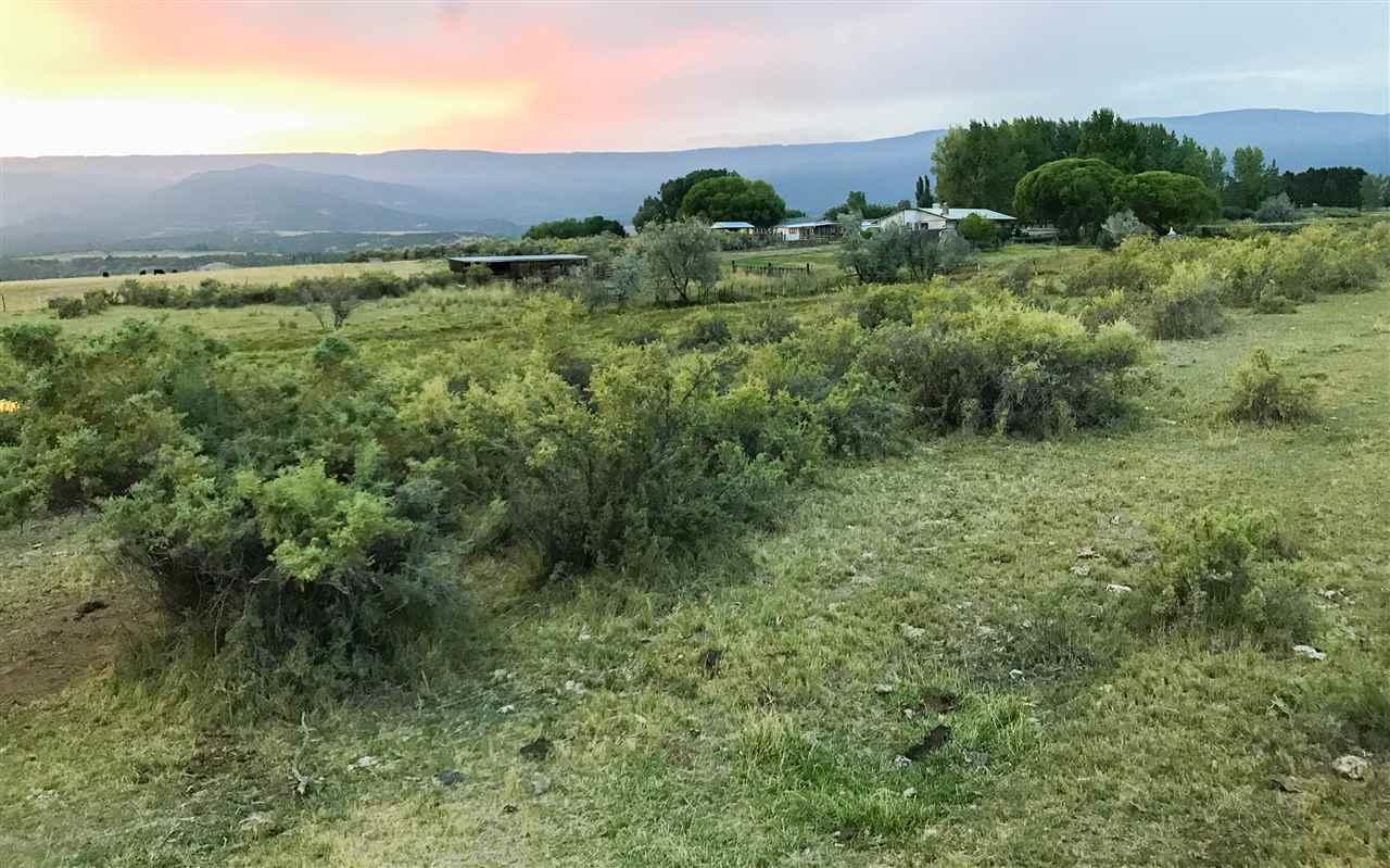 TBD Bull Mesa Road - Photo 1