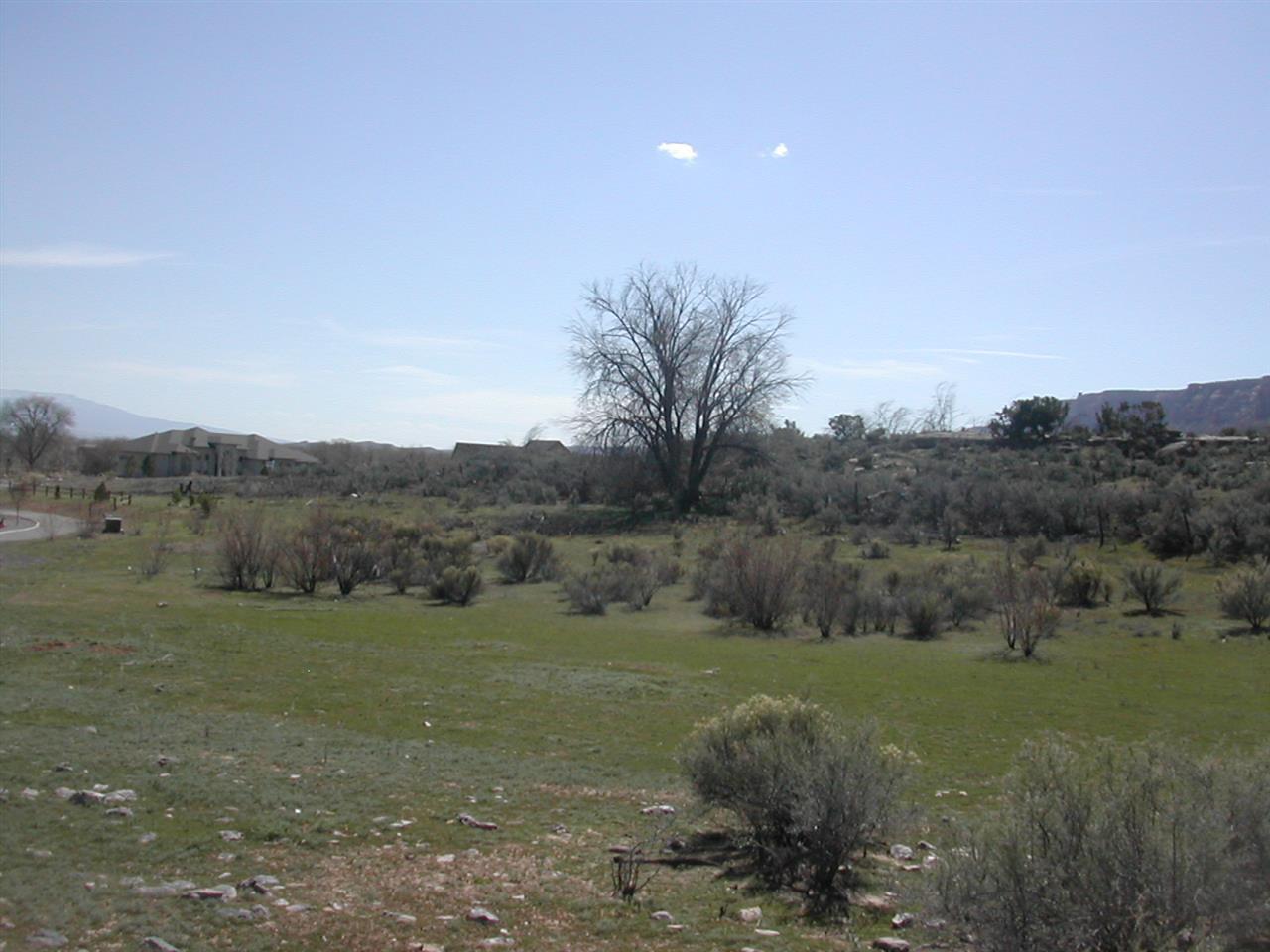 726 Curecanti Circle - Photo 1