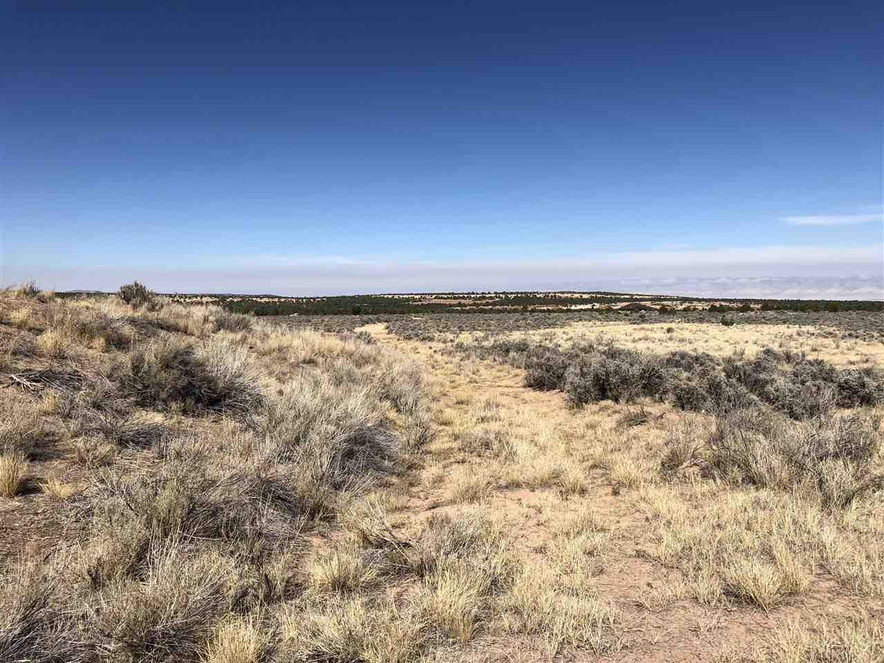 21512 Rough Canyon Road - Photo 1