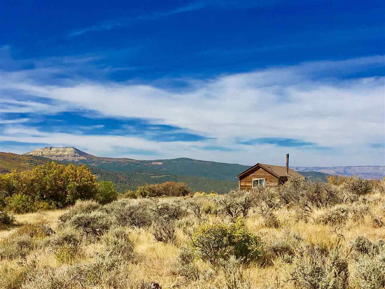 48567 Rigby Road - Photo 1