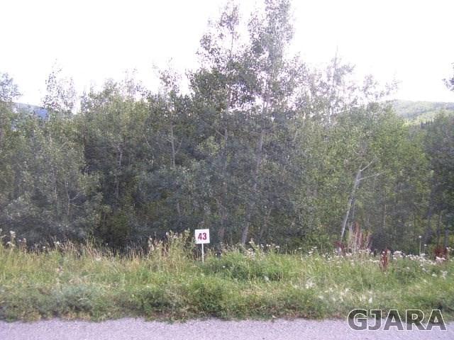 416 Wildewood Drive - Photo 1