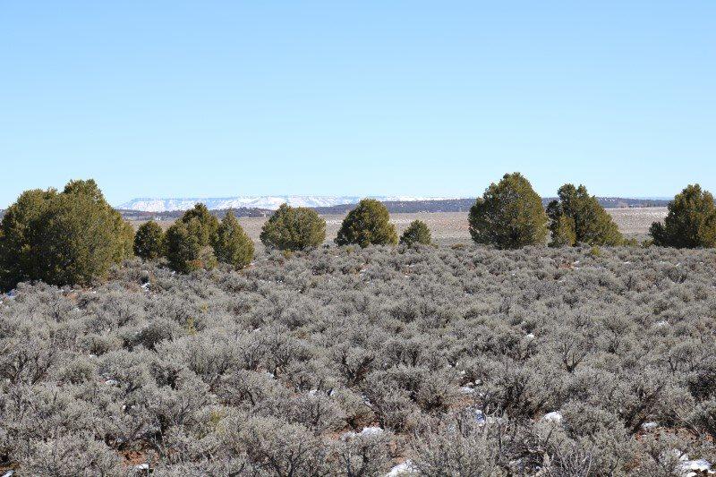 TBD Sage Brush Lane - Photo 1