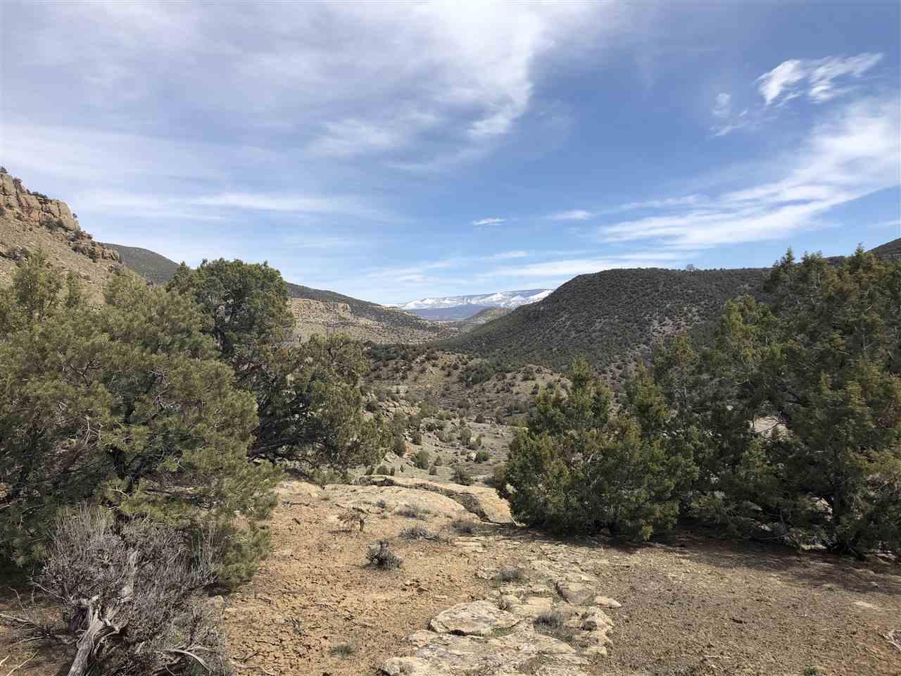 TBD Highway 65 - Photo 1