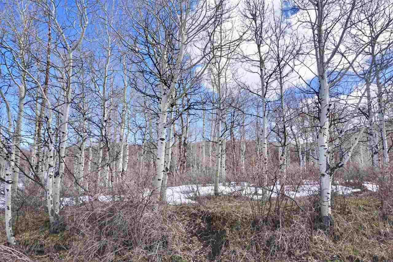 TBD 59 Road - Photo 1