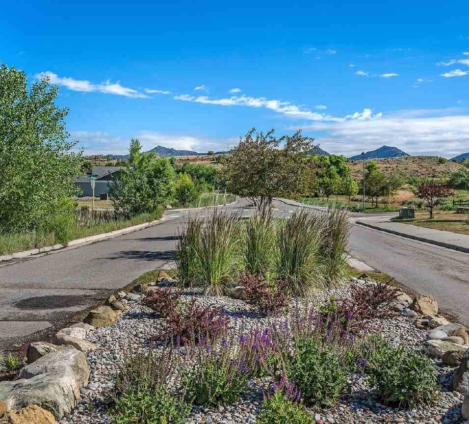 298 Grullo Lane - Photo 1