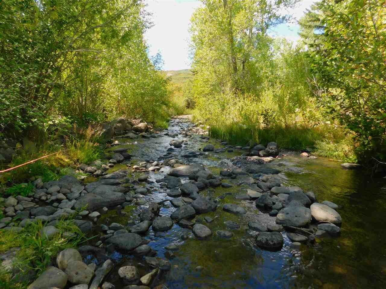 Lot 6 Aspen Hills Road - Photo 1