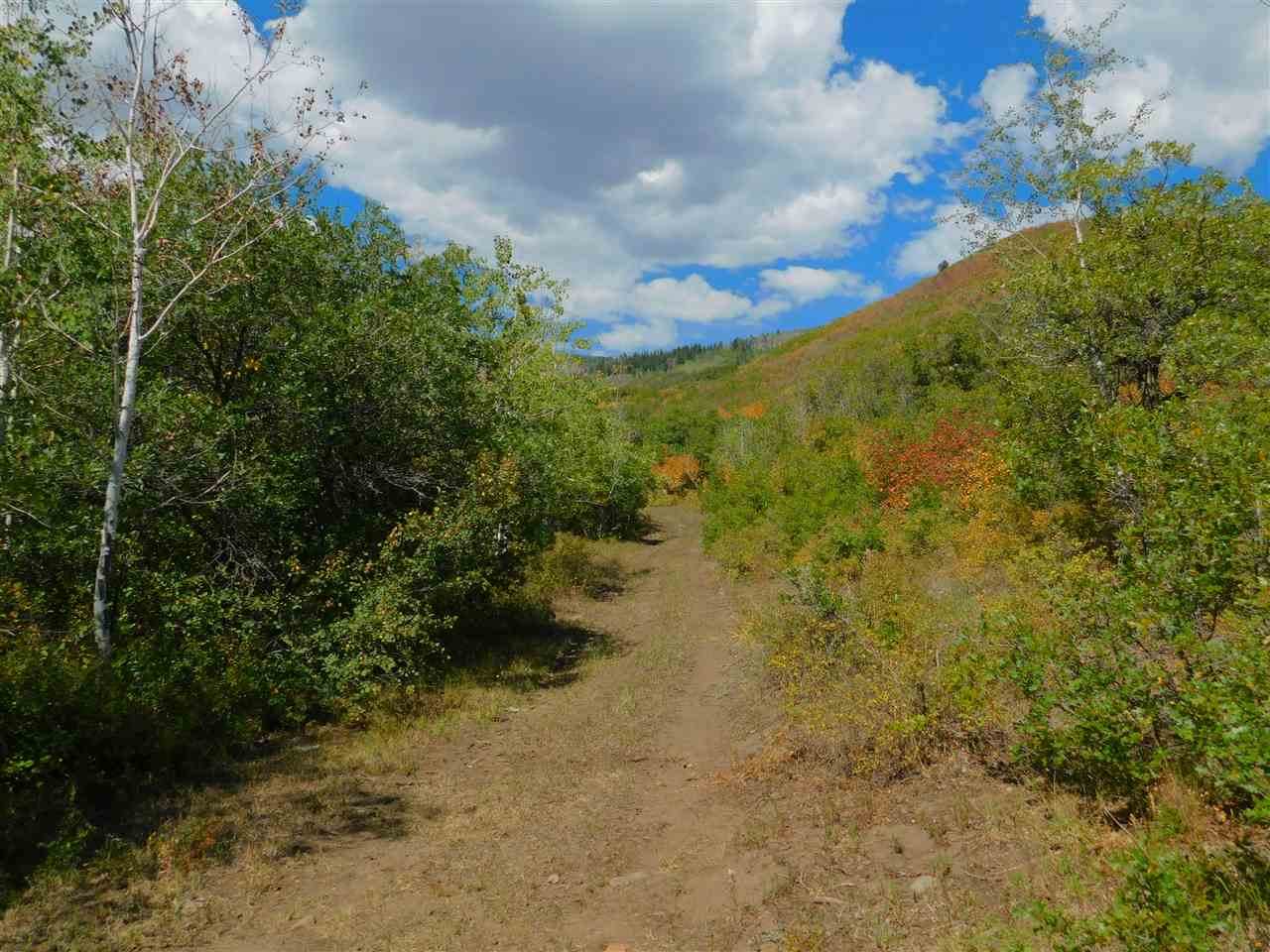 Lot 12 Aspen Hills Road - Photo 1