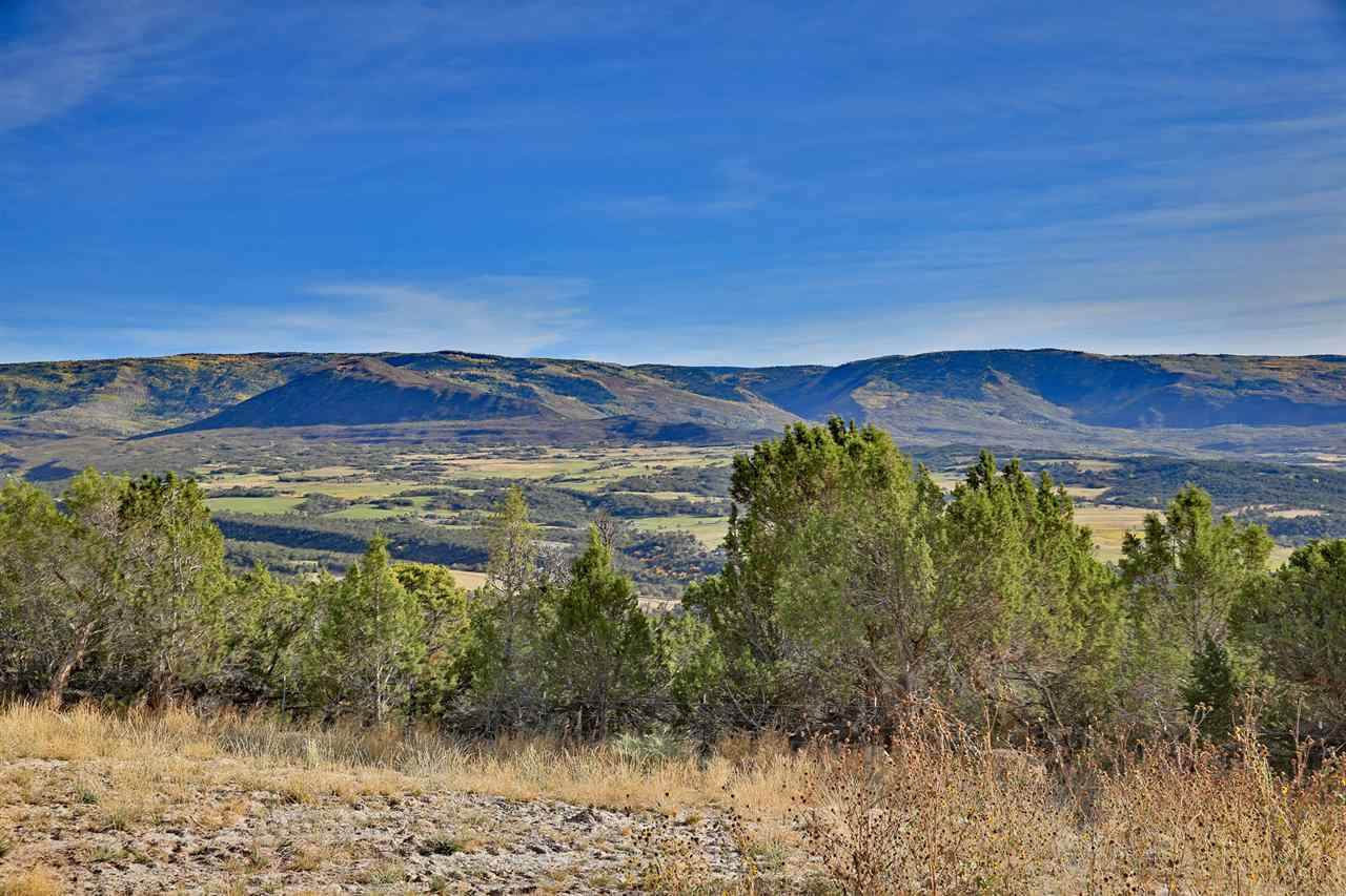 12705 55 Road - Photo 1