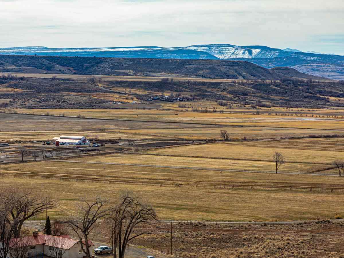 22786 Oatman Road - Photo 1