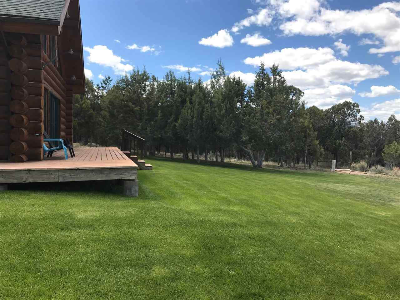 1132 Cedar Springs Ranch Road - Photo 1