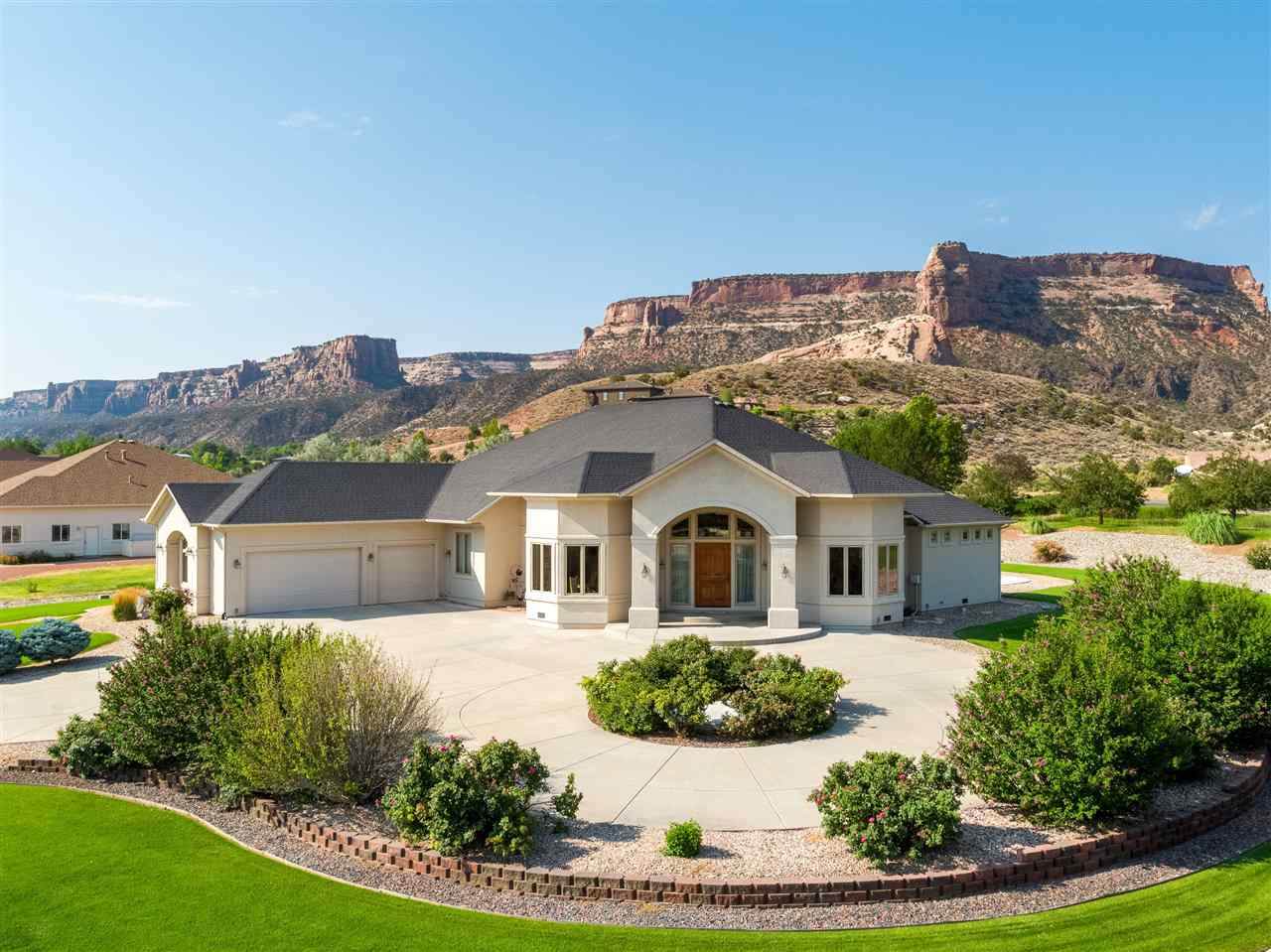 675 Curecanti Circle - Photo 1