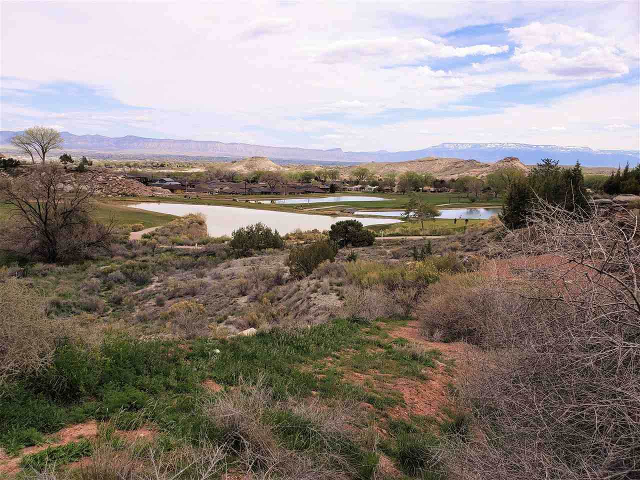 462 High Tiara Court - Photo 1