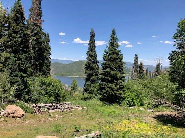Tbd Overlook Drive - Photo 1