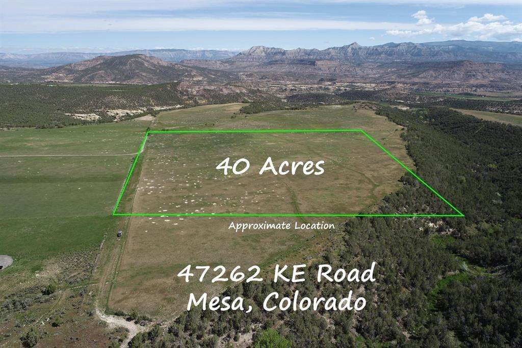 47262 Ke Road - Photo 1