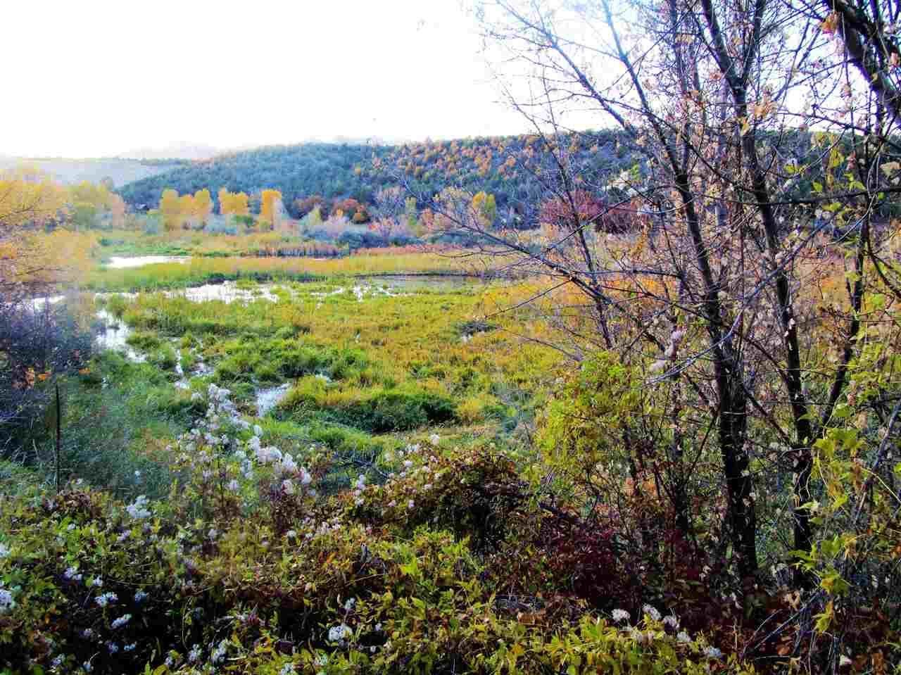 TBD Highway 330 - Photo 1