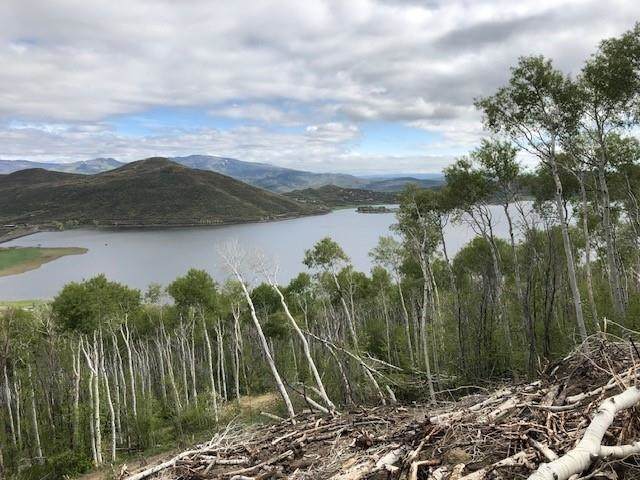 Tbd Overlook Drive - Photo 1